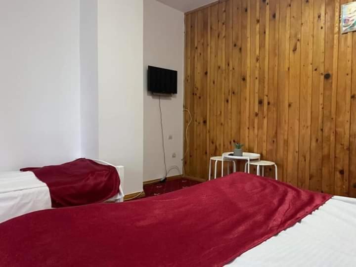 Vila Sofia Predeal Εξωτερικό φωτογραφία