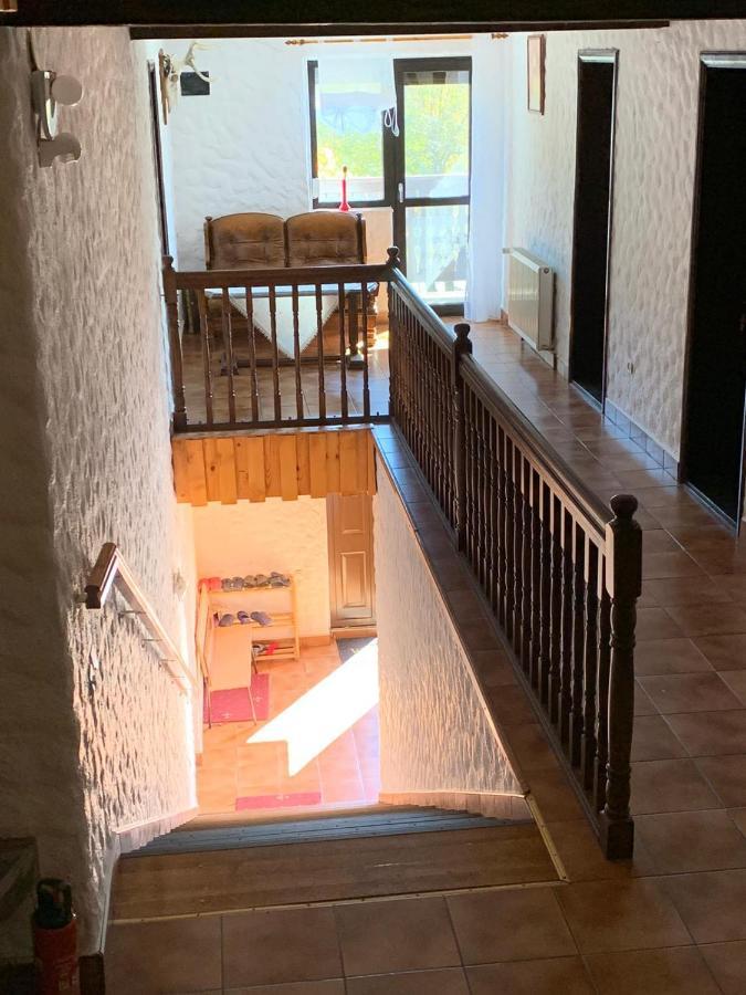 Vila Sofia Predeal Εξωτερικό φωτογραφία