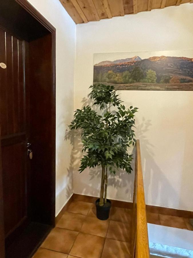 Vila Sofia Predeal Εξωτερικό φωτογραφία